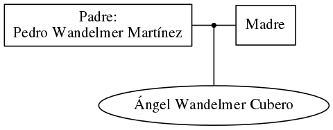 This is a graph with borders and nodes. Maybe there is an Imagemap used so the nodes may be linking to some Pages.