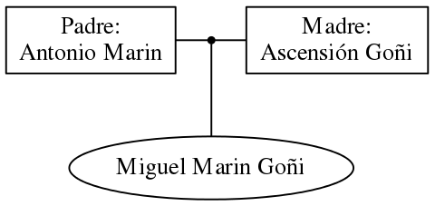 This is a graph with borders and nodes. Maybe there is an Imagemap used so the nodes may be linking to some Pages.