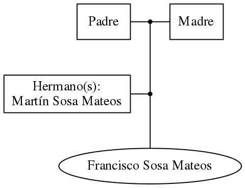 This is a graph with borders and nodes. Maybe there is an Imagemap used so the nodes may be linking to some Pages.