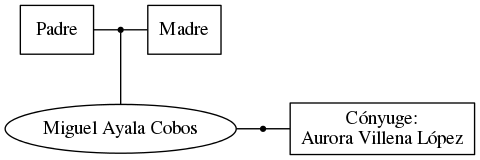 This is a graph with borders and nodes. Maybe there is an Imagemap used so the nodes may be linking to some Pages.