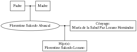 This is a graph with borders and nodes. Maybe there is an Imagemap used so the nodes may be linking to some Pages.