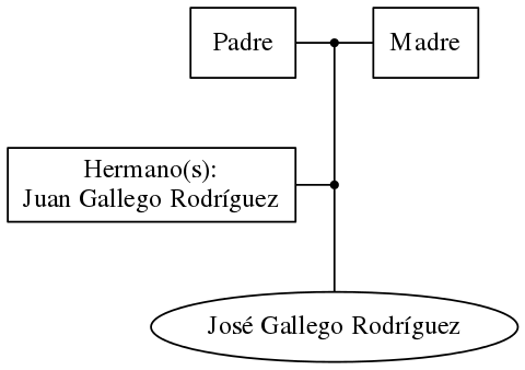 This is a graph with borders and nodes. Maybe there is an Imagemap used so the nodes may be linking to some Pages.