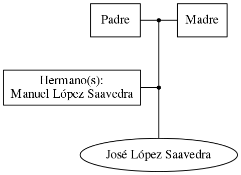 This is a graph with borders and nodes. Maybe there is an Imagemap used so the nodes may be linking to some Pages.