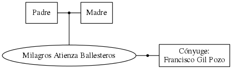 This is a graph with borders and nodes. Maybe there is an Imagemap used so the nodes may be linking to some Pages.