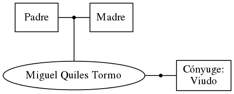 This is a graph with borders and nodes. Maybe there is an Imagemap used so the nodes may be linking to some Pages.