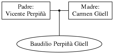 This is a graph with borders and nodes. Maybe there is an Imagemap used so the nodes may be linking to some Pages.