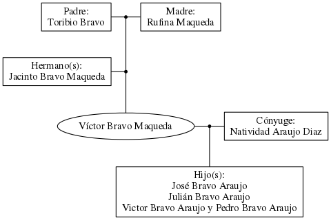 This is a graph with borders and nodes. Maybe there is an Imagemap used so the nodes may be linking to some Pages.