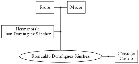 This is a graph with borders and nodes. Maybe there is an Imagemap used so the nodes may be linking to some Pages.