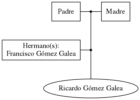 This is a graph with borders and nodes. Maybe there is an Imagemap used so the nodes may be linking to some Pages.