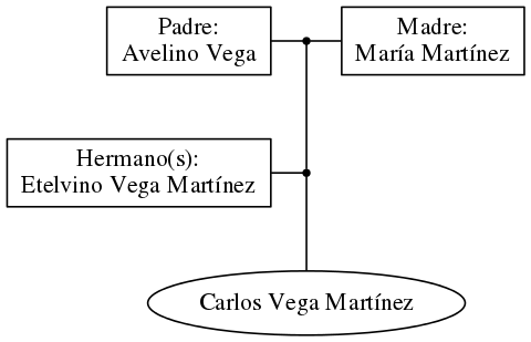 This is a graph with borders and nodes. Maybe there is an Imagemap used so the nodes may be linking to some Pages.