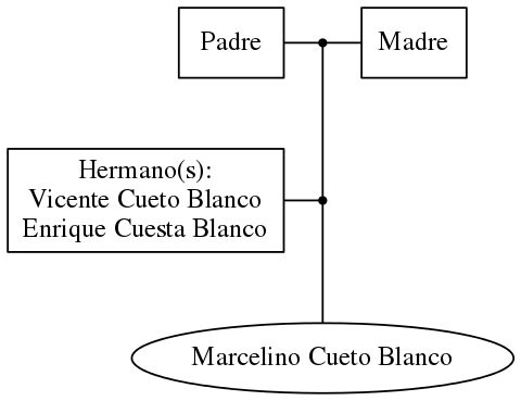 This is a graph with borders and nodes. Maybe there is an Imagemap used so the nodes may be linking to some Pages.