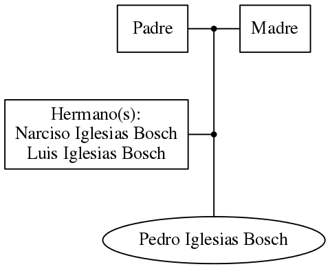 This is a graph with borders and nodes. Maybe there is an Imagemap used so the nodes may be linking to some Pages.