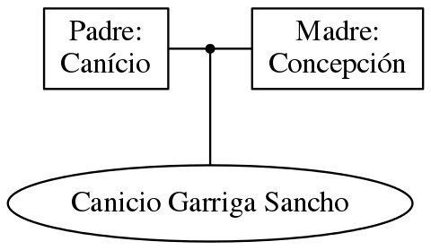 This is a graph with borders and nodes. Maybe there is an Imagemap used so the nodes may be linking to some Pages.