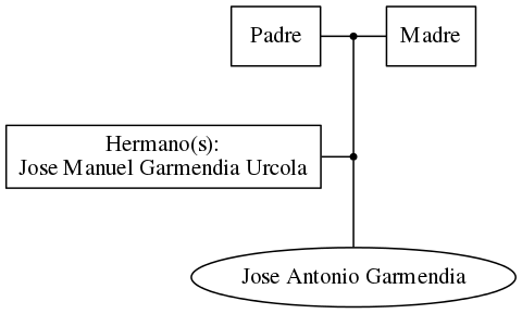 This is a graph with borders and nodes. Maybe there is an Imagemap used so the nodes may be linking to some Pages.