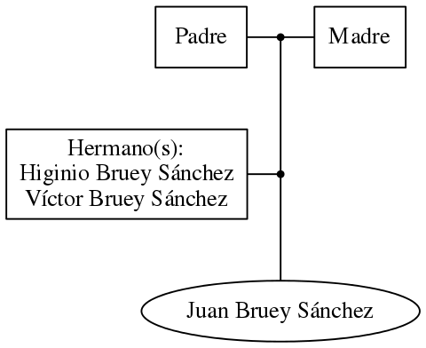 This is a graph with borders and nodes. Maybe there is an Imagemap used so the nodes may be linking to some Pages.