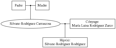 This is a graph with borders and nodes. Maybe there is an Imagemap used so the nodes may be linking to some Pages.