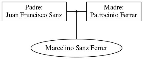 This is a graph with borders and nodes. Maybe there is an Imagemap used so the nodes may be linking to some Pages.