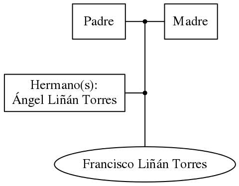 This is a graph with borders and nodes. Maybe there is an Imagemap used so the nodes may be linking to some Pages.