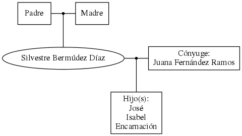 This is a graph with borders and nodes. Maybe there is an Imagemap used so the nodes may be linking to some Pages.