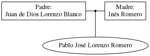 This is a graph with borders and nodes. Maybe there is an Imagemap used so the nodes may be linking to some Pages.