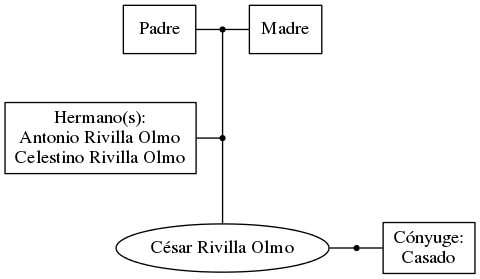 This is a graph with borders and nodes. Maybe there is an Imagemap used so the nodes may be linking to some Pages.