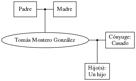 This is a graph with borders and nodes. Maybe there is an Imagemap used so the nodes may be linking to some Pages.