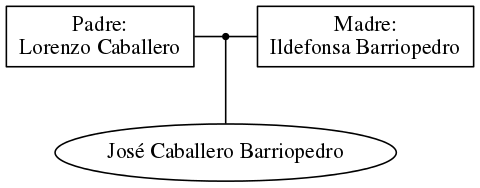 This is a graph with borders and nodes. Maybe there is an Imagemap used so the nodes may be linking to some Pages.