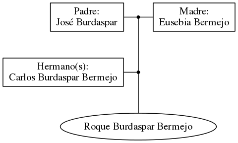 This is a graph with borders and nodes. Maybe there is an Imagemap used so the nodes may be linking to some Pages.