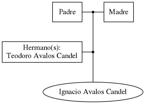 This is a graph with borders and nodes. Maybe there is an Imagemap used so the nodes may be linking to some Pages.