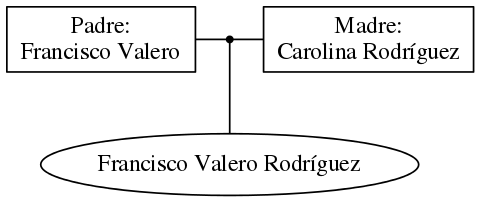 This is a graph with borders and nodes. Maybe there is an Imagemap used so the nodes may be linking to some Pages.