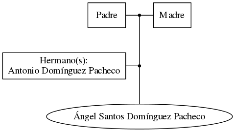 This is a graph with borders and nodes. Maybe there is an Imagemap used so the nodes may be linking to some Pages.