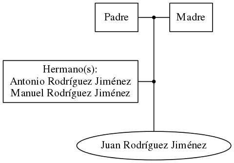 This is a graph with borders and nodes. Maybe there is an Imagemap used so the nodes may be linking to some Pages.