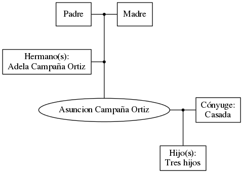 This is a graph with borders and nodes. Maybe there is an Imagemap used so the nodes may be linking to some Pages.