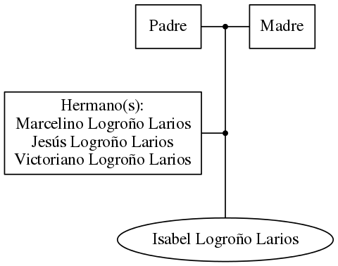 This is a graph with borders and nodes. Maybe there is an Imagemap used so the nodes may be linking to some Pages.