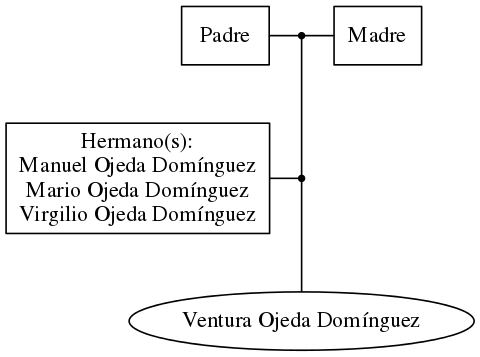 This is a graph with borders and nodes. Maybe there is an Imagemap used so the nodes may be linking to some Pages.