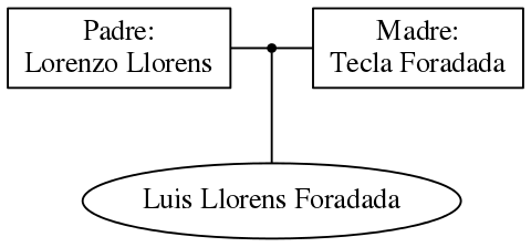 This is a graph with borders and nodes. Maybe there is an Imagemap used so the nodes may be linking to some Pages.