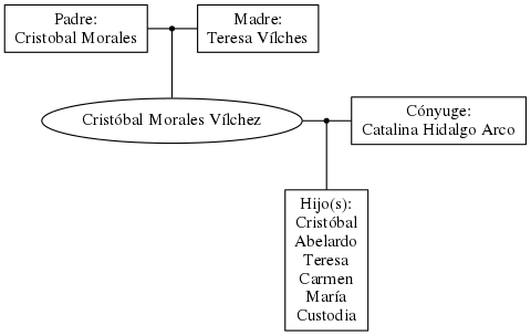 This is a graph with borders and nodes. Maybe there is an Imagemap used so the nodes may be linking to some Pages.