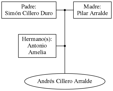 This is a graph with borders and nodes. Maybe there is an Imagemap used so the nodes may be linking to some Pages.