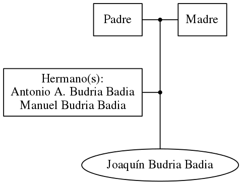 This is a graph with borders and nodes. Maybe there is an Imagemap used so the nodes may be linking to some Pages.