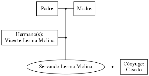 This is a graph with borders and nodes. Maybe there is an Imagemap used so the nodes may be linking to some Pages.