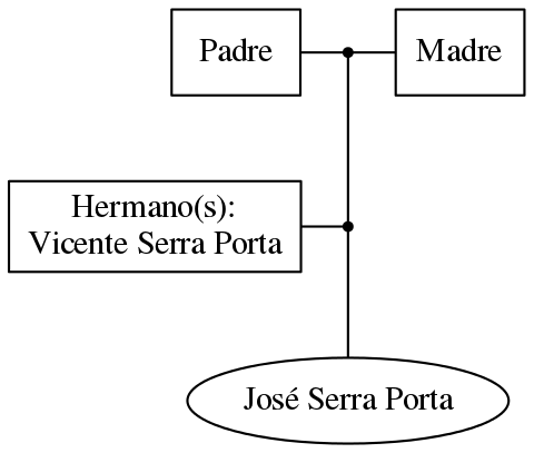 This is a graph with borders and nodes. Maybe there is an Imagemap used so the nodes may be linking to some Pages.