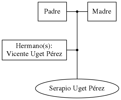 This is a graph with borders and nodes. Maybe there is an Imagemap used so the nodes may be linking to some Pages.