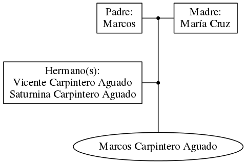 This is a graph with borders and nodes. Maybe there is an Imagemap used so the nodes may be linking to some Pages.