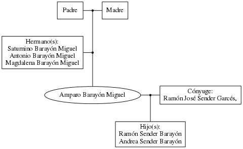 This is a graph with borders and nodes. Maybe there is an Imagemap used so the nodes may be linking to some Pages.