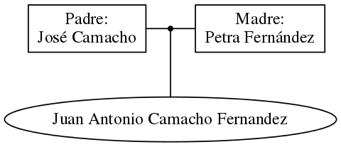 This is a graph with borders and nodes. Maybe there is an Imagemap used so the nodes may be linking to some Pages.