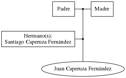 This is a graph with borders and nodes. Maybe there is an Imagemap used so the nodes may be linking to some Pages.