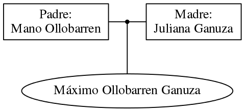 This is a graph with borders and nodes. Maybe there is an Imagemap used so the nodes may be linking to some Pages.