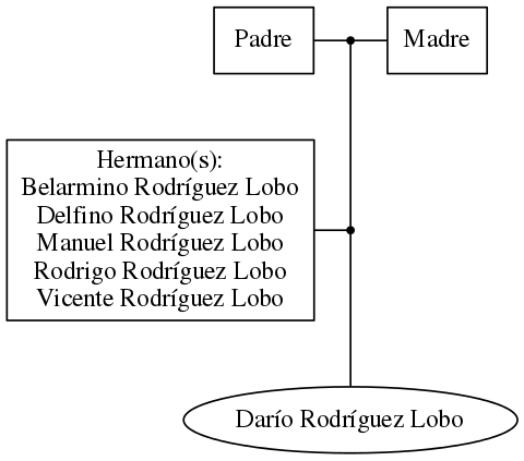 This is a graph with borders and nodes. Maybe there is an Imagemap used so the nodes may be linking to some Pages.