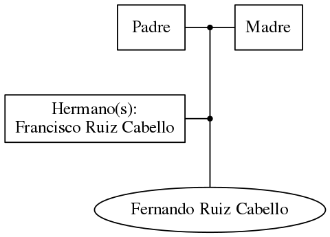 This is a graph with borders and nodes. Maybe there is an Imagemap used so the nodes may be linking to some Pages.