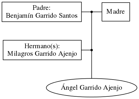 This is a graph with borders and nodes. Maybe there is an Imagemap used so the nodes may be linking to some Pages.